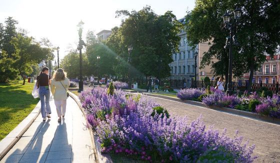 В Москве ожидается тёплая погода с кратковременными дождями на ближайшие дни