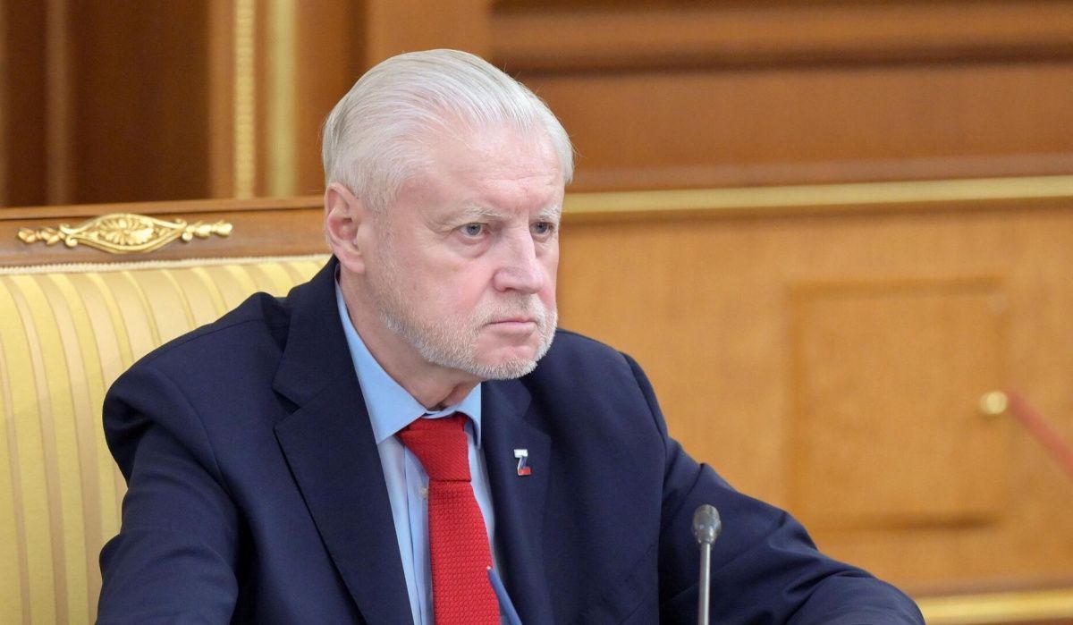 Миронов рекомендовал бизнесу отменить новогодние корпоративы