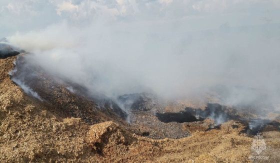 Крупный пожар на лесопромышленной свалке в Красноярске продолжают тушить