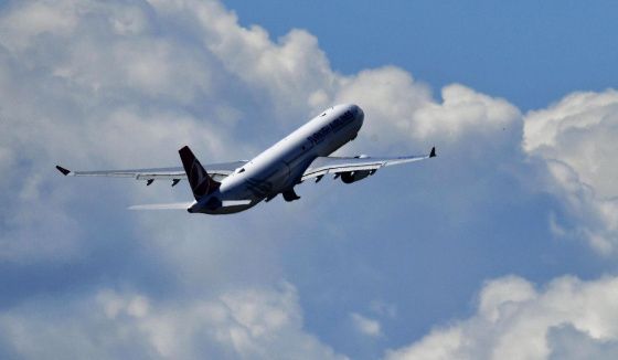 В Петербурге запускают прямые авиарейсы в Венесуэлу