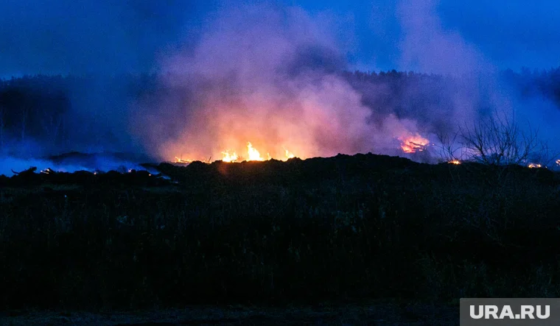 Росельхознадзор, возможно, "сожгут" ещё одну птицефабрику России