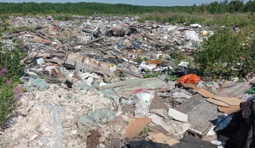 В России потратят миллиарды рублей на рекультивацию мусорных полигонов в Подмосковье 
