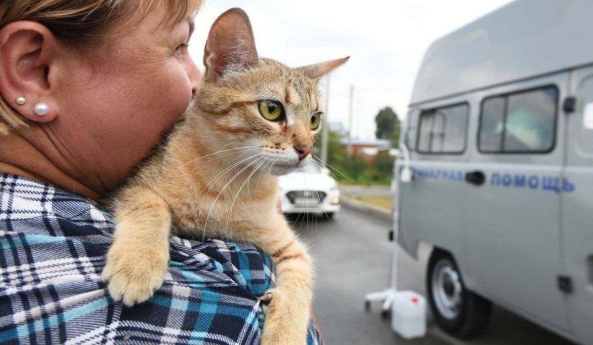 В Казани бесплатно вакцинируют домашних животных от бешенства