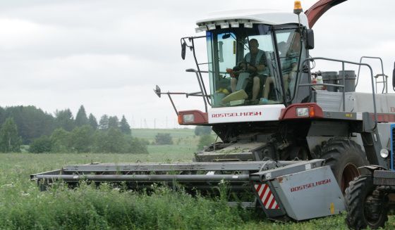 "Птицефабрика Чайковская" завершила уборочную кампанию 2025 года