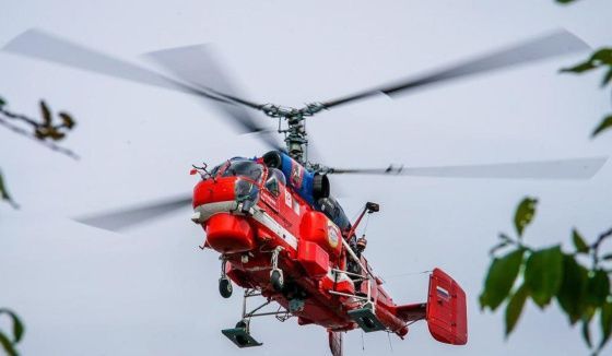 Москва избежала природных пожаров в этом году