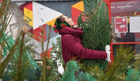 Петербуржцев призвали сдать на переработку новогодние ели