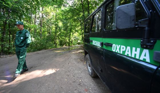 В Воронежской области выявили незаконный захват лесного участка за 50 млн рублей