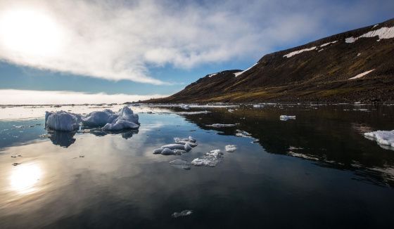 В России создадут стратегию для защиты арктической экосистемы