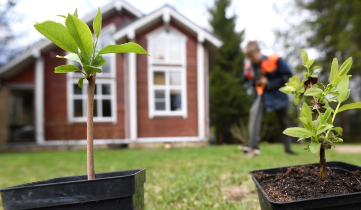 Мишустин поручил повысить доступность ипотеки для ИСЖ