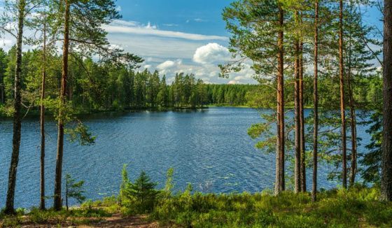 Правительство утвердило создание национального парка «Виштынецкий»