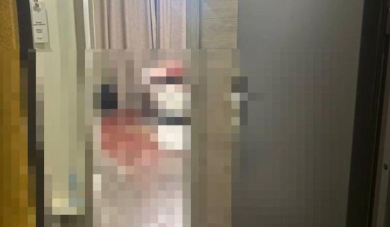 Раскрыты подробности убийства девушки в петербургском апарт-отеле