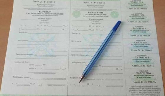 В Красноярском крае стартует весенняя охота на медведя