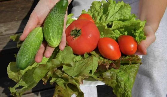Врач рассказала, какие продукты помогут справиться с тягой к сладкому