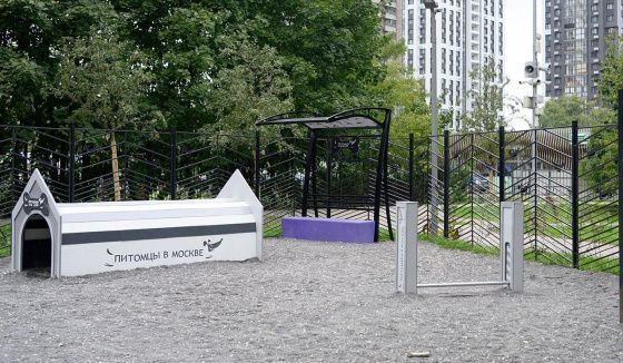 В Москве выберут лучшие площадки для выгула собак в рамках проекта «Активный гражданин»