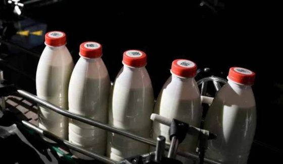Россельхознадзор вводит временное ограничение на импорт молочной продукции из Армении
