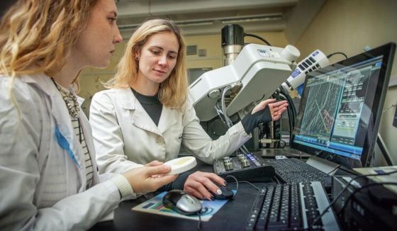 В Нижнем Новгороде разработали ранозаживляющие покрытия на основе рыбы