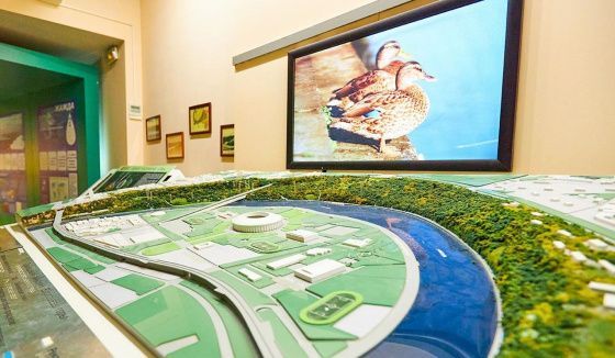 В столичных экоцентрах стартует весенняя экспедиция «Природа Москвы»