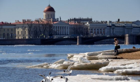 Пятый подряд температурный рекорд: Петербург снова удивляет погодой