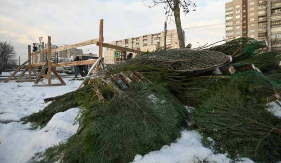 В Пермском крае опубликован список пунктов приёма новогодних ёлок