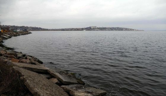 TNI: Одесса под угрозой без честных переговоров Украины с Россией