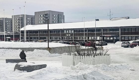 Песков: ситуация вокруг Гренландии требует глубокого анализа