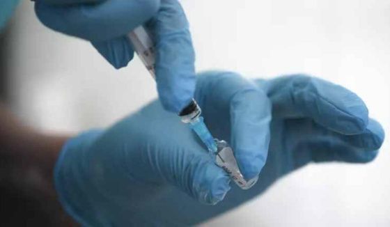 Роспотребнадзор рекомендовал жителям Петербурга сделать прививку от туляремии
