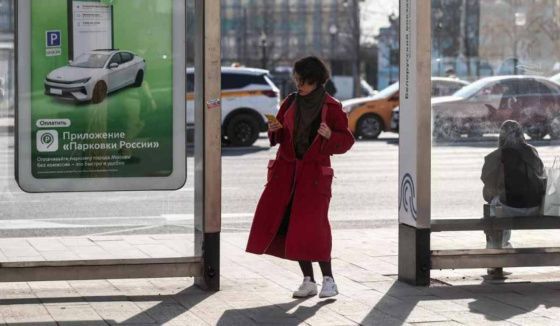 Минцифры добавило новые онлайн-сервисы в разрешённый «белый список»