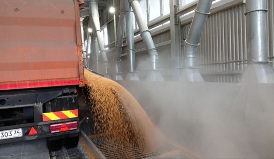 Волгоградская область увеличивает ёмкость хранилищ для зерна