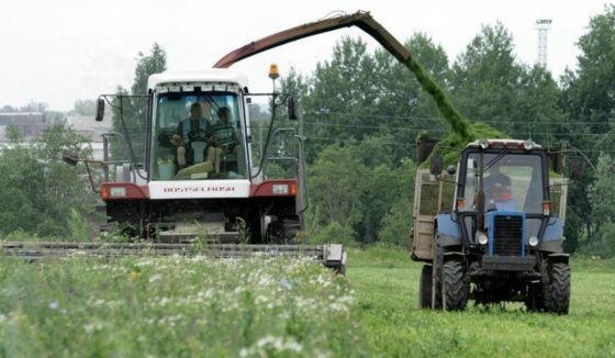 "Птицефабрика Чайковская" подвела предварительные итоги по заготовке ВТМ