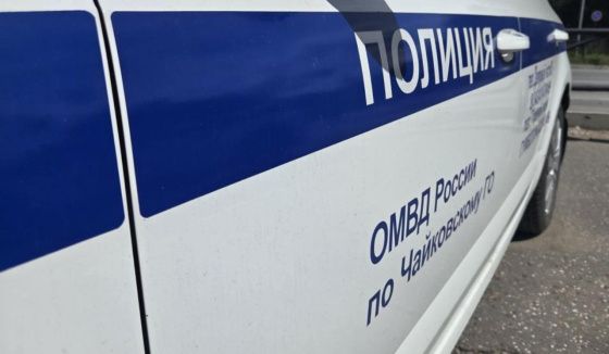 В Чайковском возбуждено уголовное дело по факту кражи товара на пункте выдачи заказов