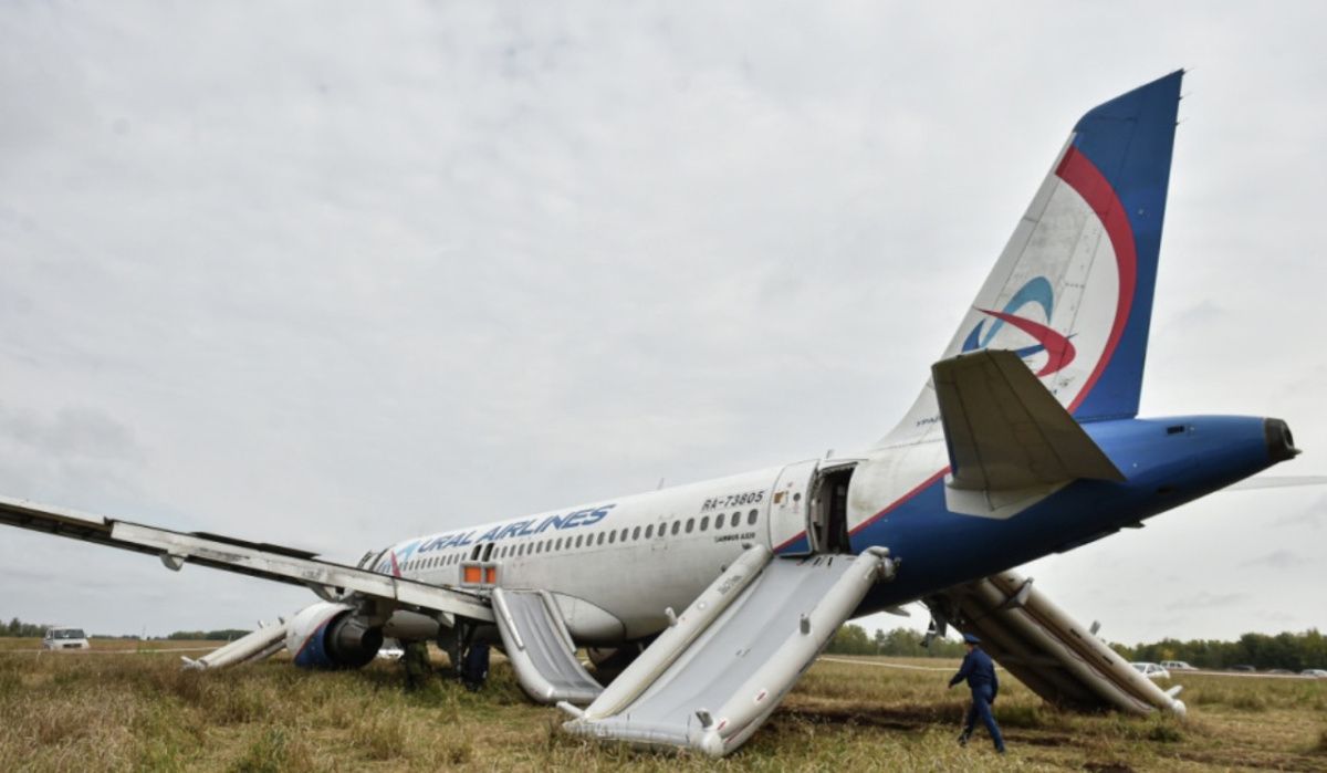 Пилоту, посадившему самолёт в поле под Новосибирском, предъявлен иск на 119 млн