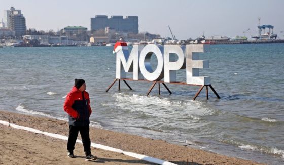 Ученые оценили последствия разлива мазута в Черном море