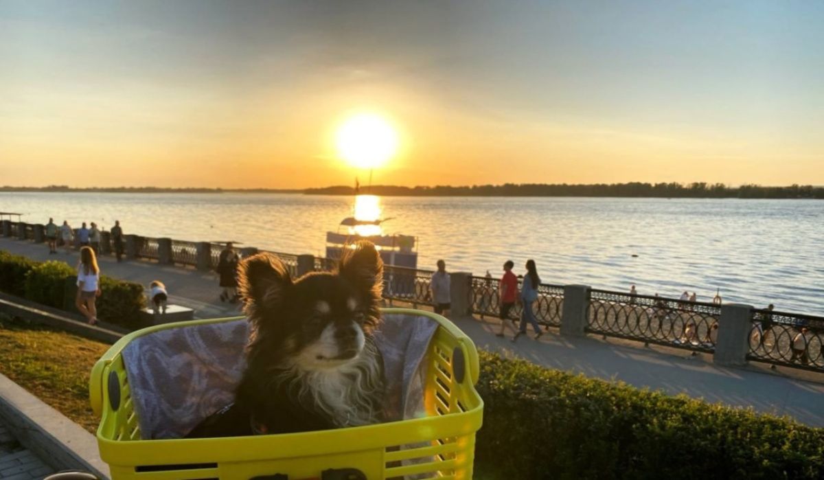 Самарцам объяснили, как сохранить все законные дни отдыха