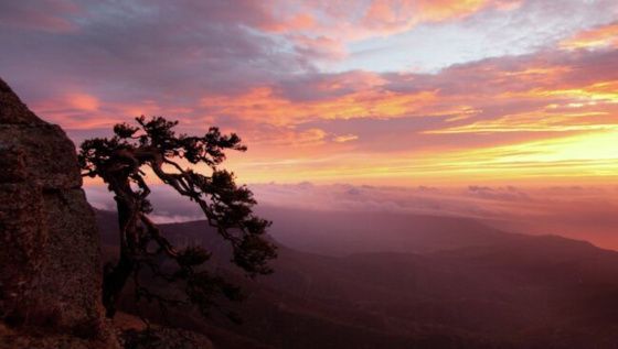 Кабмин утвердил создание заповедника "Мыс Мартьян" в Крыму