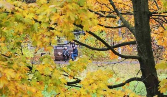 Синоптики рассказали о погоде в Башкирии в ноябре
