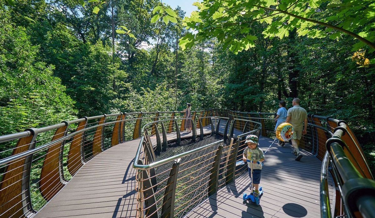 Активные граждане Москвы выбрали топовые экологические маршруты столицы