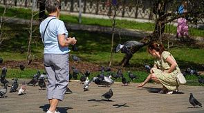 Новости